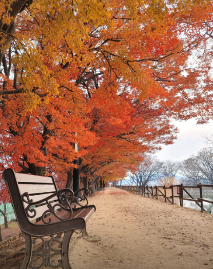 진해내수면환경생태공원2