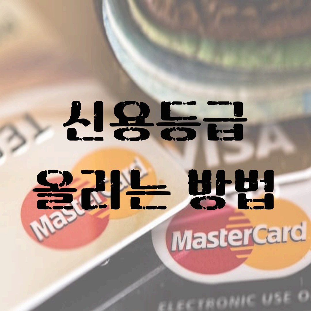 신용등급 올리는 방법: 실전 체크리스트와 단계별 전략