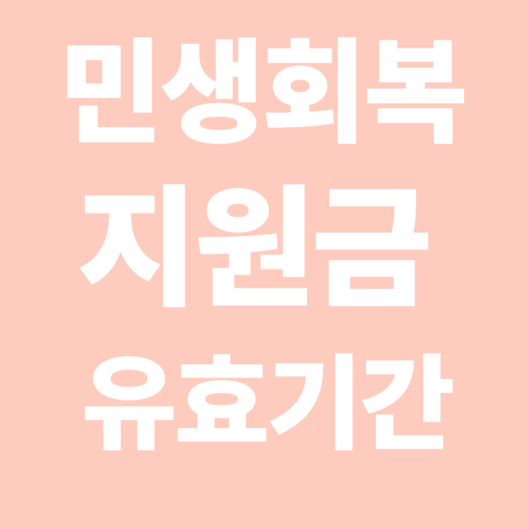민생회복 지원금 유효기간