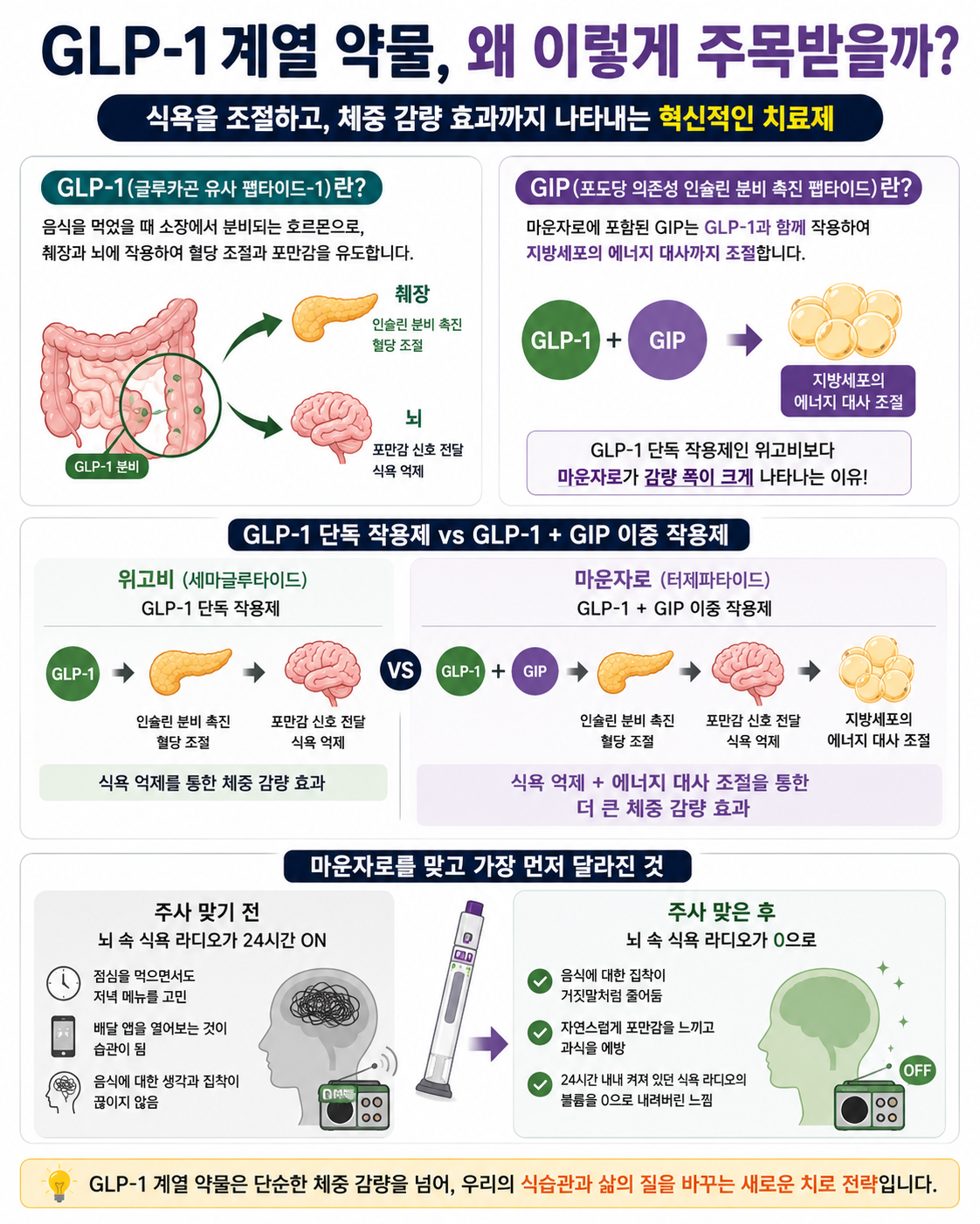 혁신적인 비만 치료제 : GLP-1 계열 약물
