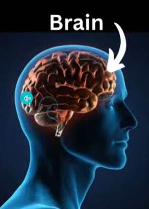 뇌경색 전조증상