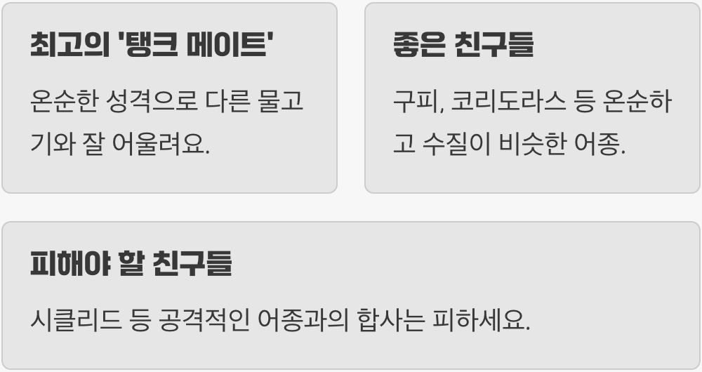 합사 - 평화를 사랑하는 '순둥이'