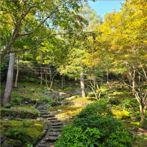 화담숲 예약 방법 화담숲 가을 단풍 명소 경기도 광주 화담숲 화담숲 모노레일 예약 화담숲 운영 시간 화담숲 입장료 화담숲 주차 정보 화담숲 방문 팁 화담숲 테마 정원 화담숲 가을 나들이 화담숲 가을 단풍 절정 화담숲 가을 단풍 시즌 화담숲 예약 꿀팁 화담숲 가족 나들이 화담숲 연인 데이트