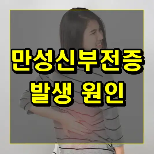 만성신부전증 발생 원인은 무엇일까요