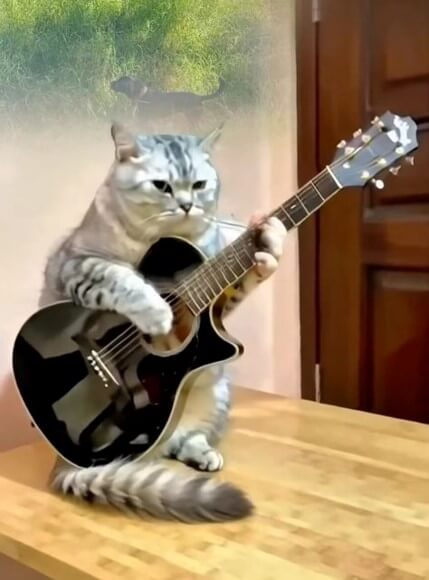 고양이가-식탁에-올라-멋지게-기타를-연주하는-모습
