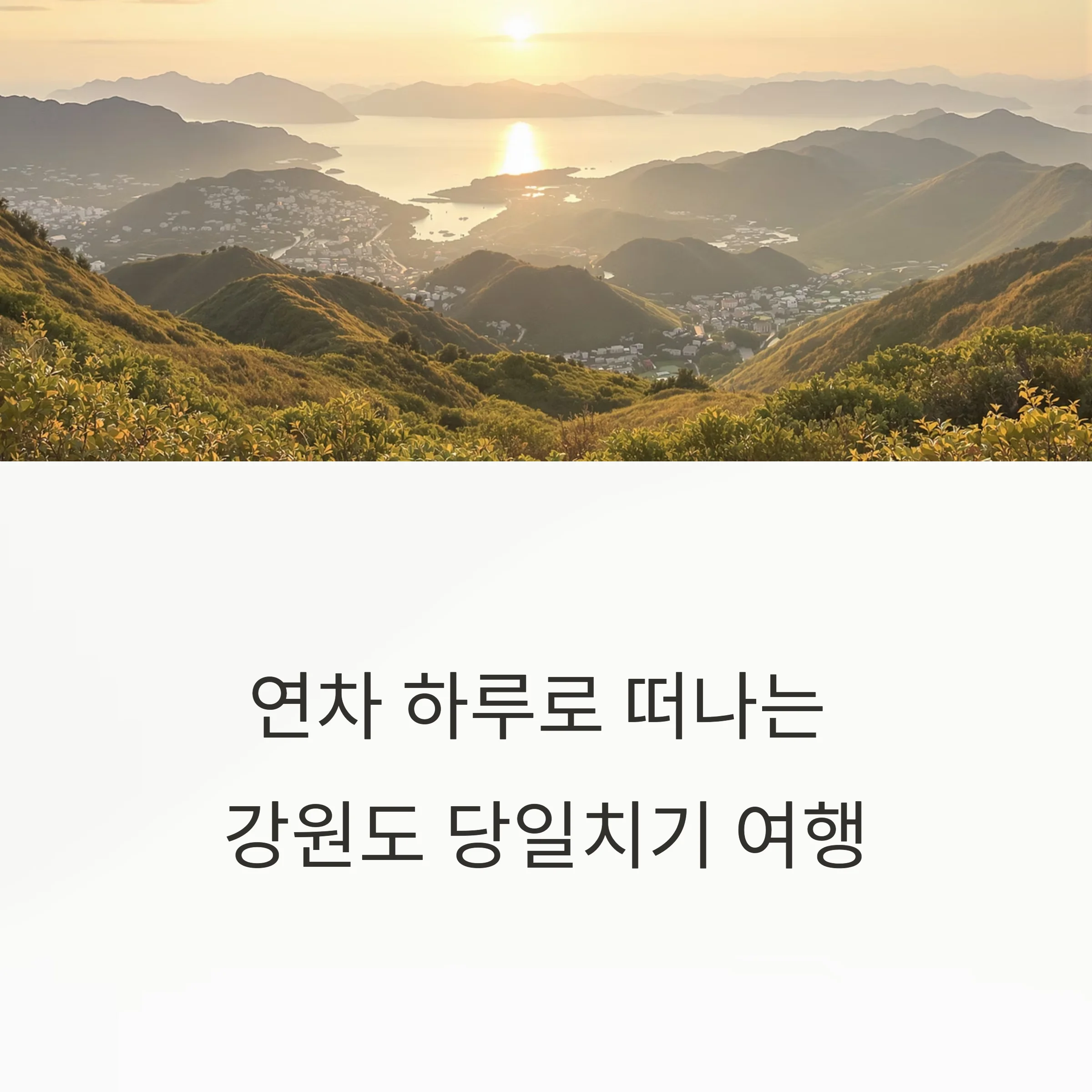 연차 하루로 떠나는 강원도 당일치기 여행