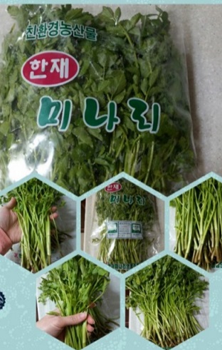 6시내고향-청도-한재미나리