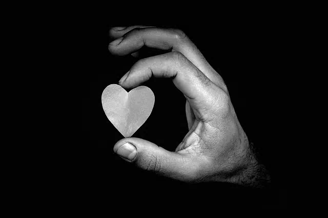 고지혈증 관련 사진10