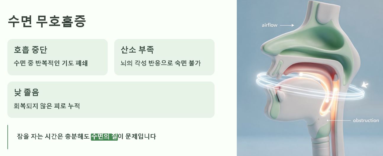 잠이 계속 오는 이유