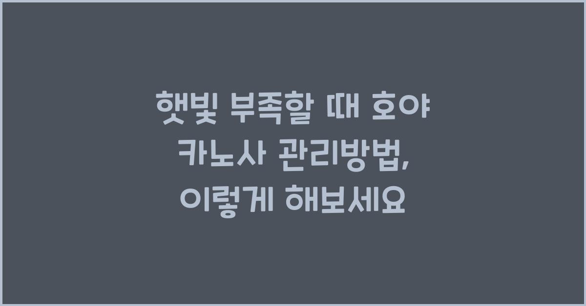 햇빛 부족할 때 호야 카노사 관리방법