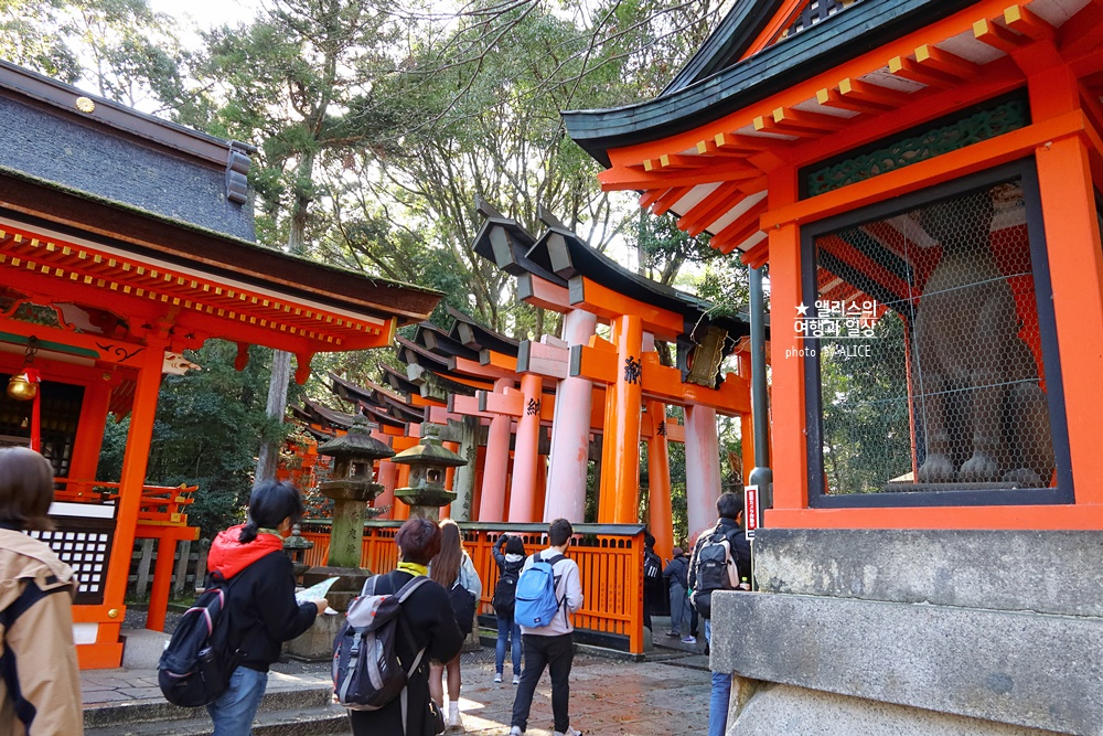 일본 여행, 교토 버스투어 현대카드 × kkday 일본여행 30% 할인