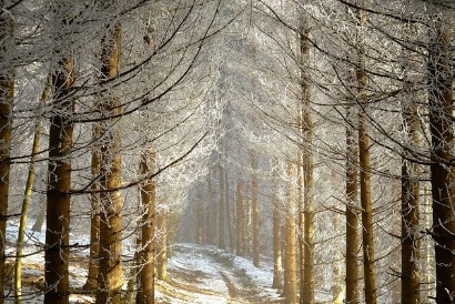 달서구 도시가스 전화번호(대성에너지 고객센터)