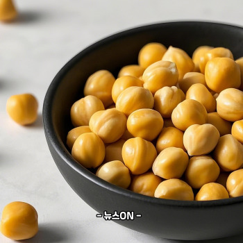 병아리콩 밥해 먹는 방법