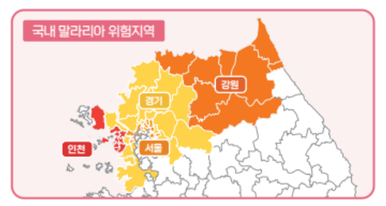 국내 말라리아 증상 및 진단 치료