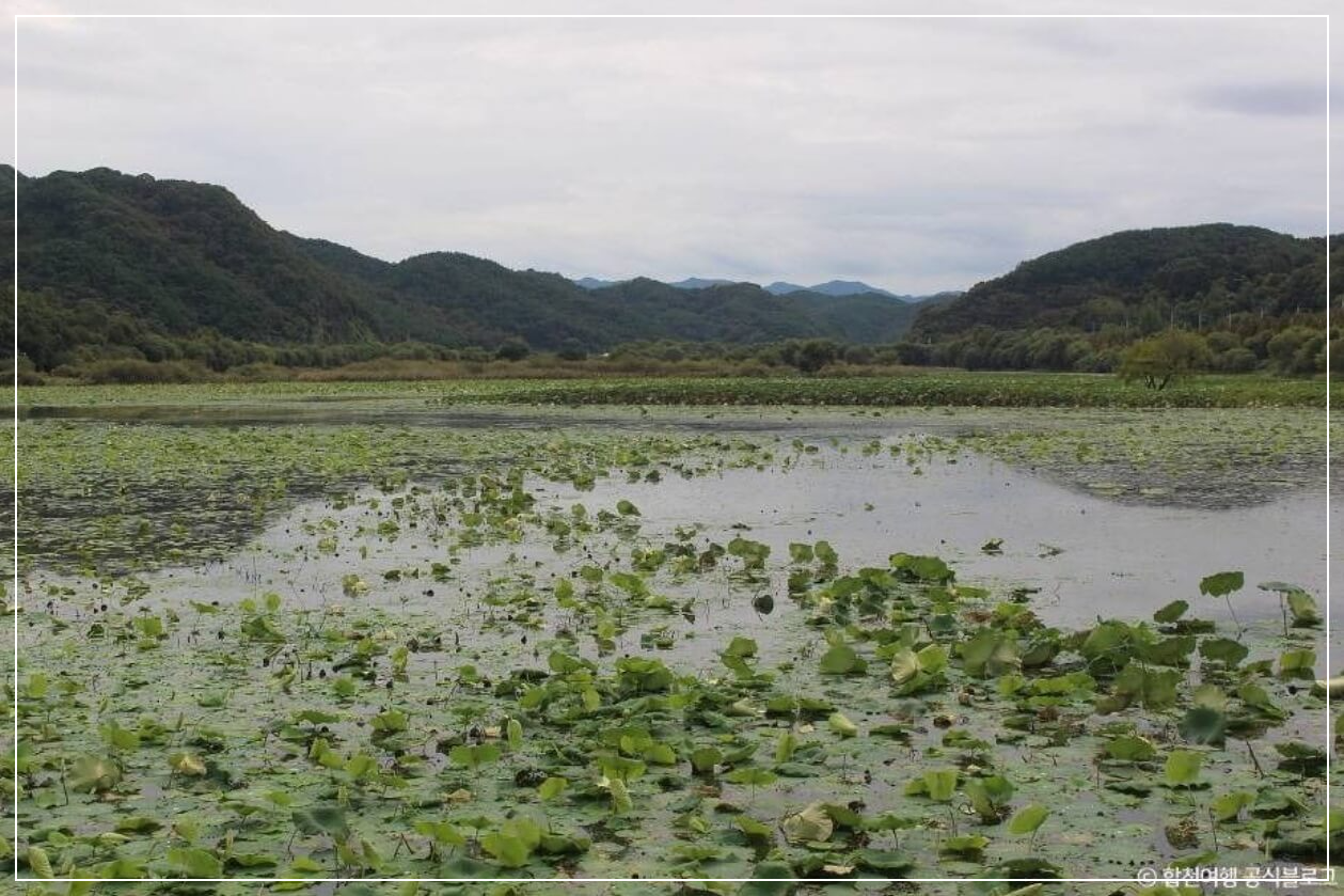 합천 가볼만한곳 베스트10 합천 정양늪 생태공원