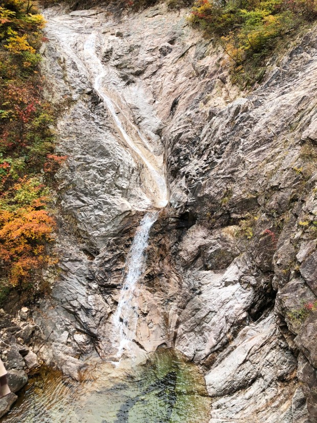 설악산 단풍시기
