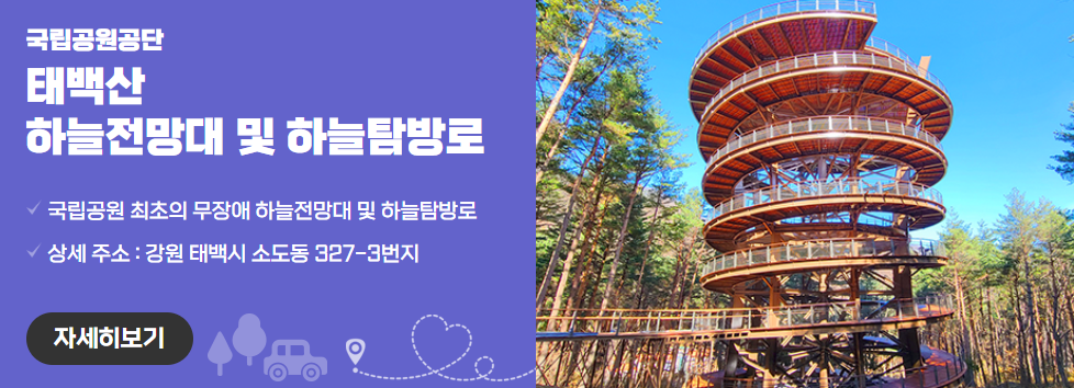 태백산 하늘전망대 및 하늘탐방로