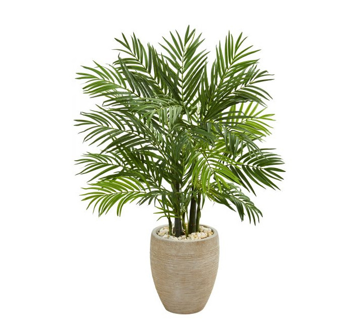 봄철 미세먼지 제거 공기정화 식물 이끼 실내 정화 효과 필요성