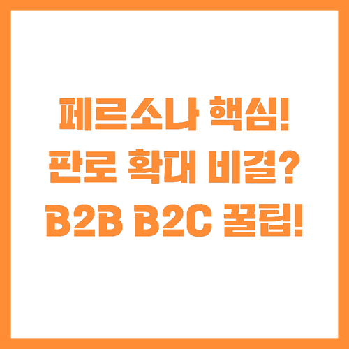 B2B B2C 맞춤 페르소나 설정이 ..