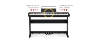 카시오 피아노 추천｜입문자에게 인기 있는 모델 TOP5 비교