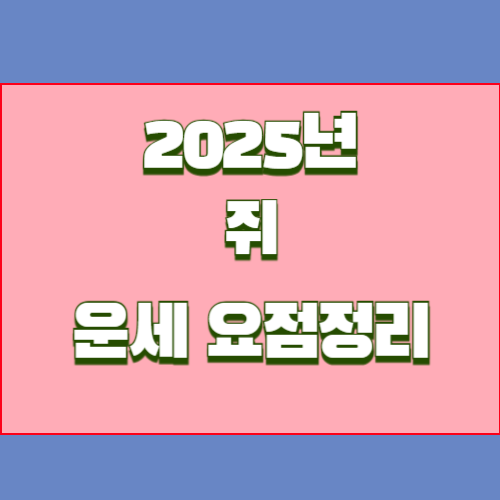 2025년 을사년 쥐띠 운세를 알아봅시다