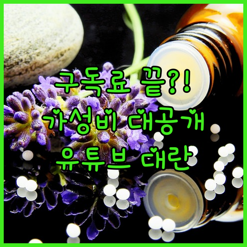 비싼 구독료의 끝, 안정성과 합리적 ..