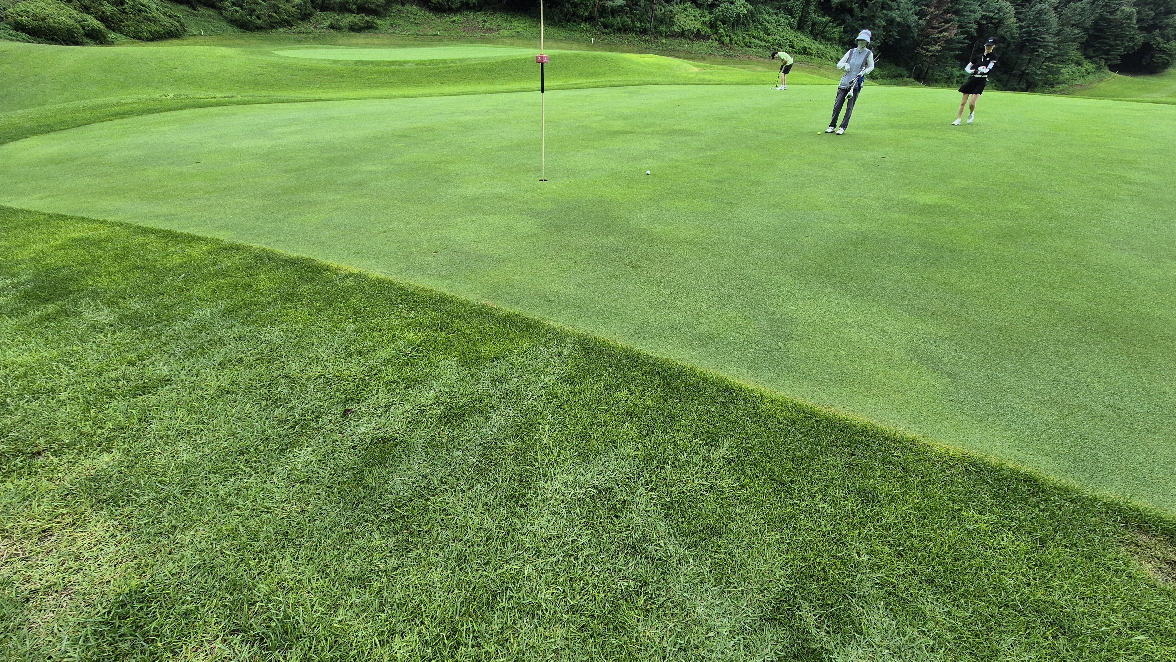 뉴서울cc 예술in-문화in 코스 라운드 후기