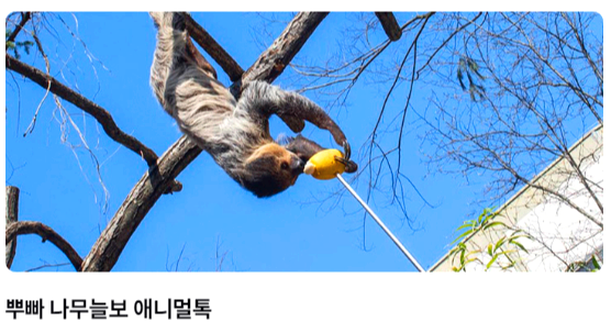 에버랜드