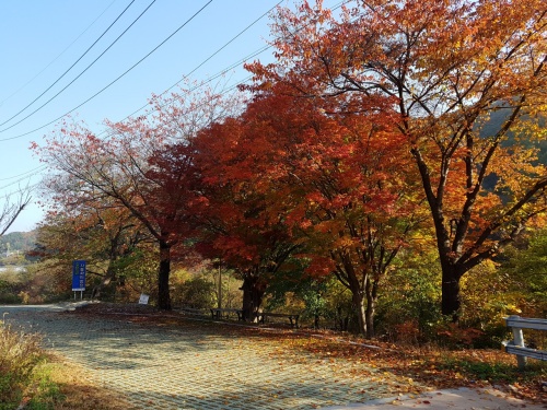 무주_깊은골_캠핑장