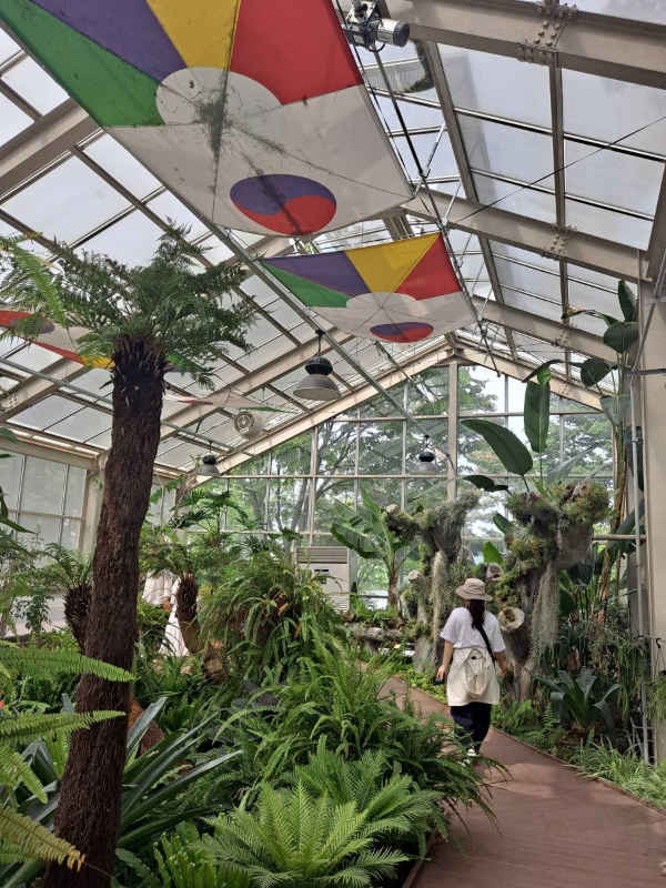 선유도 온실 풍경