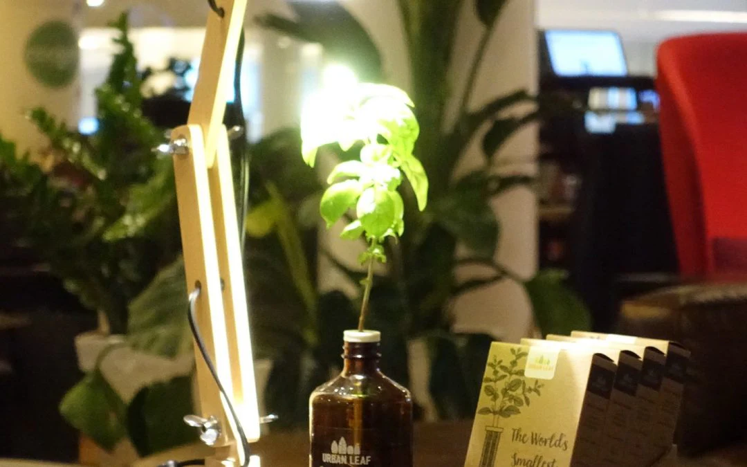 홈가드닝-미세먼지-차단-저예산DIY-실내식물조명-만들기-저예산그로우라이트설정