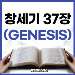 [성경문제] 창세기 37장 1-36절 요약
