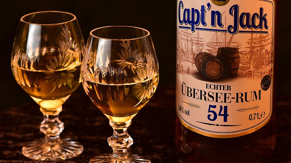 애완견에게-주면-안되는-음식-알콜-술