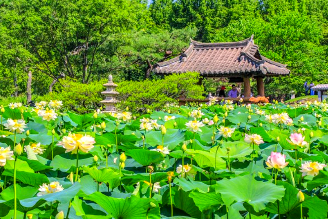 양평 가볼만한곳 베스트10