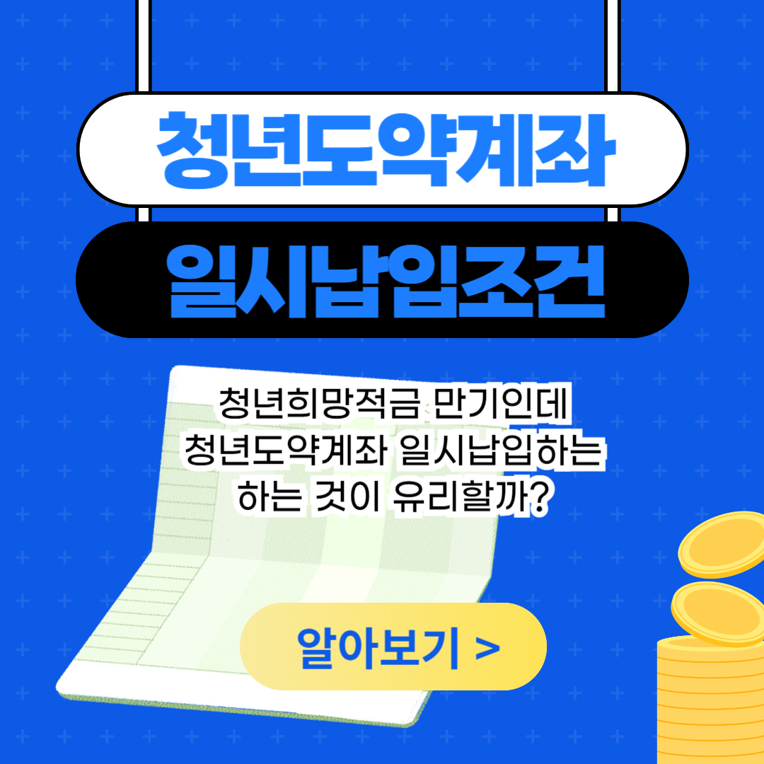 청년도약계좌 일시납입
