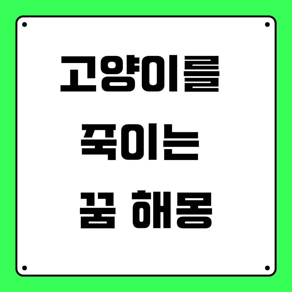 고양이를 죽이는 꿈 해몽
