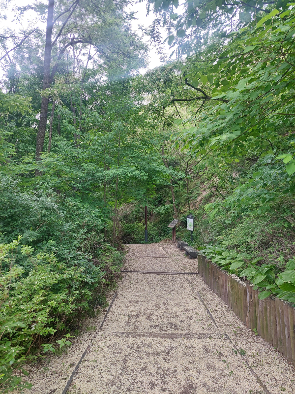 인왕산