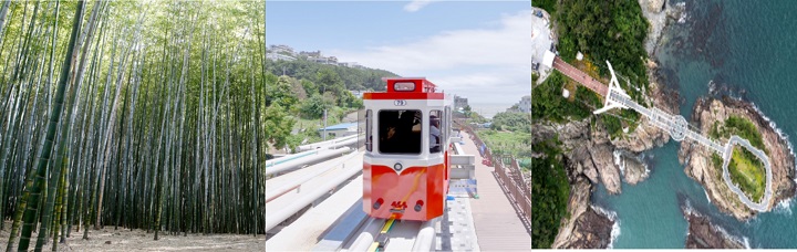아홉산숲, 청사포 모노레일, 송도용궁구름다리 전경