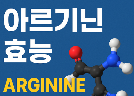 아르기닌 효능