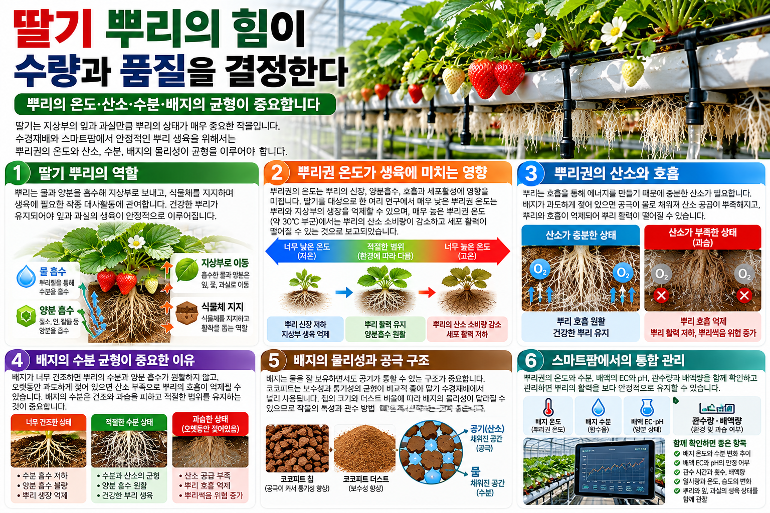 딸기 뿌리 활력과 근권온도.산소.수분.배지의 관계
