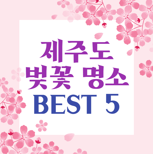 제주도 벚꽃 명소 BEST 5