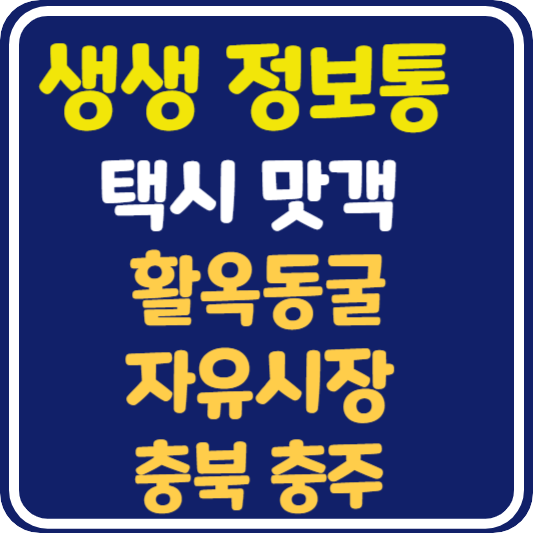 생생 정보통 충주 활옥동굴, 자유시장 정보 안내 : 택시맛객