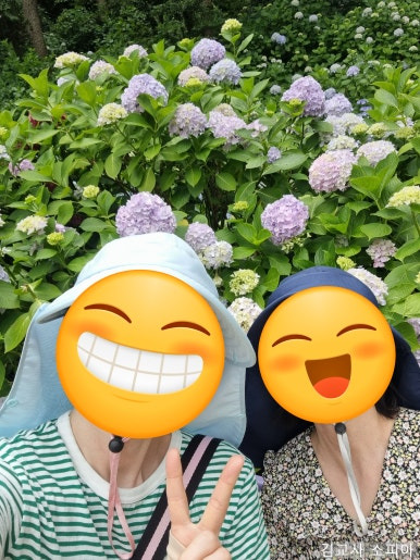 부산 태종대 폭염 여행 리얼후기🌊 여름 필수템 8가지 추천