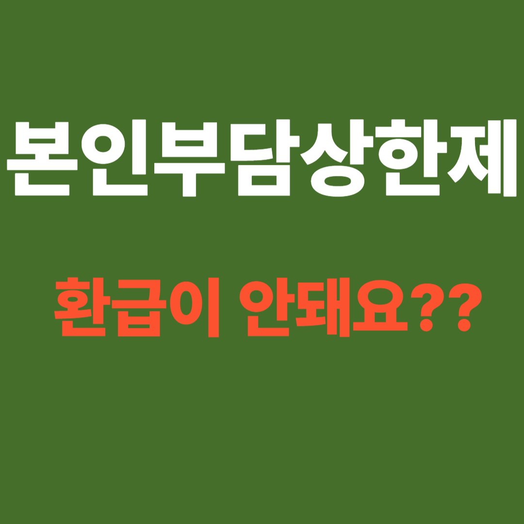 본인부담상한제 환급 안되는 이유