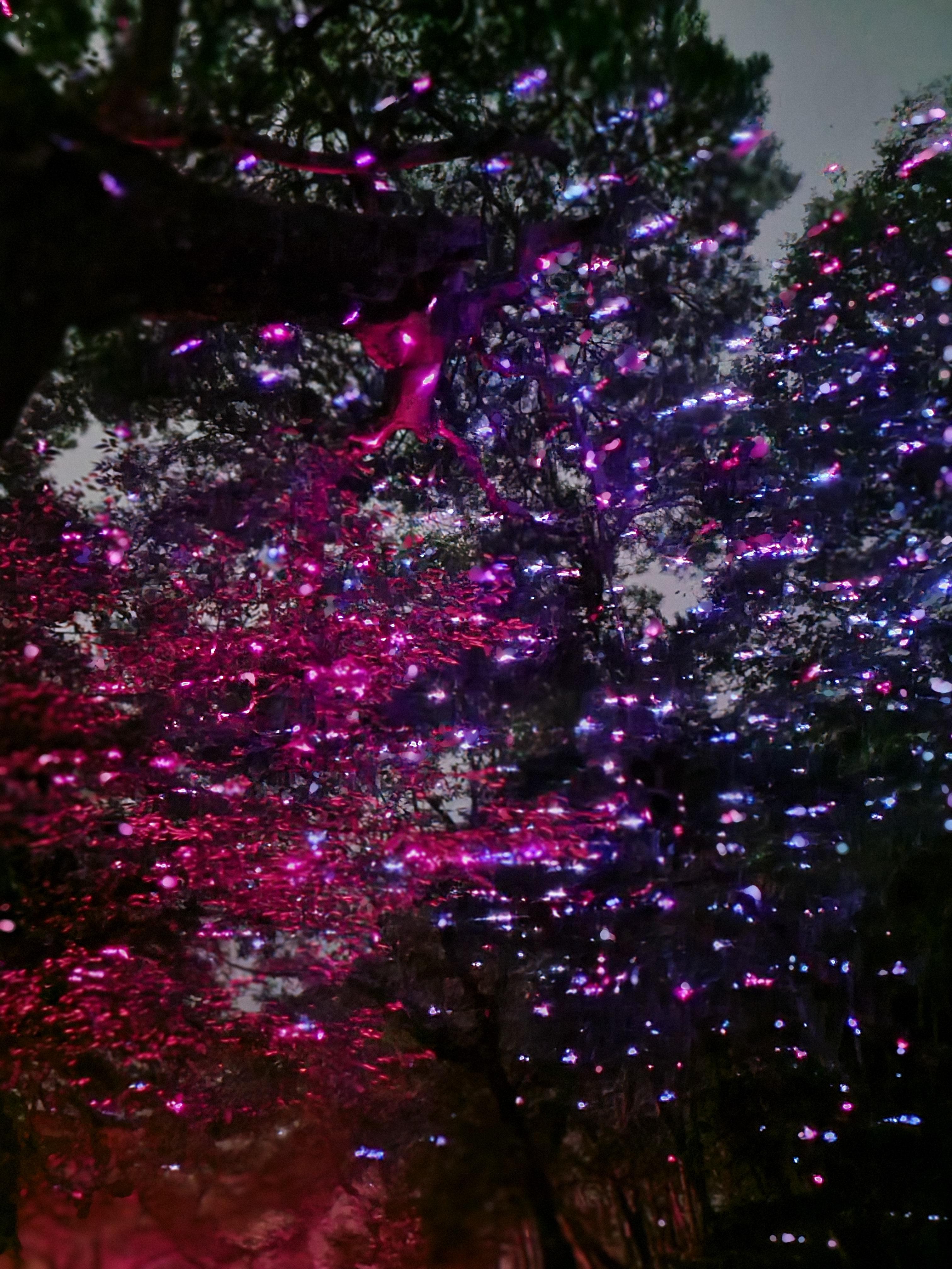 통도사 개산 1380주년 미디어아트&amp;#44; &amp;#39;산문의 빛&amp;#39; 행사에서 만나는 가을밤 힐링