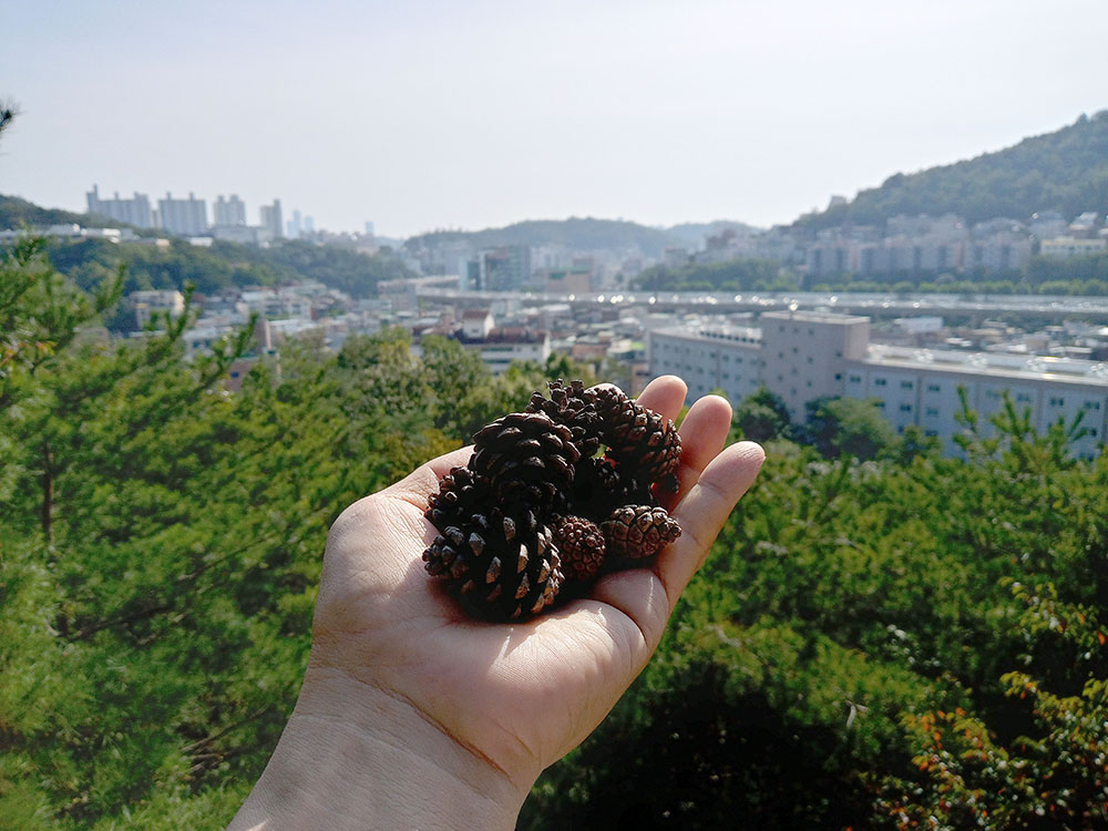 서대문구 나혼자걷자 홍제동 동네한바퀴 걷기챌린지