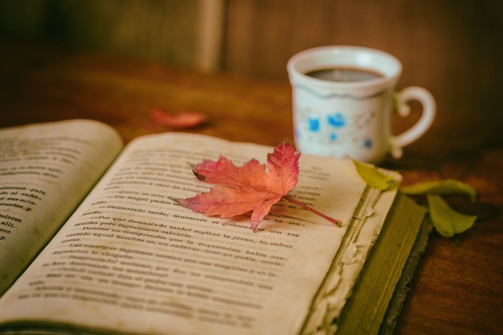 집에서 즐기는 힐링 취미-여유로운 삶을 위한 시작