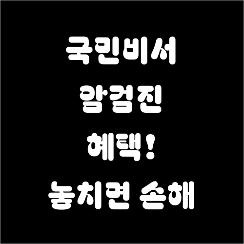 국민비서 서비스 특징과 암검진 혜택..