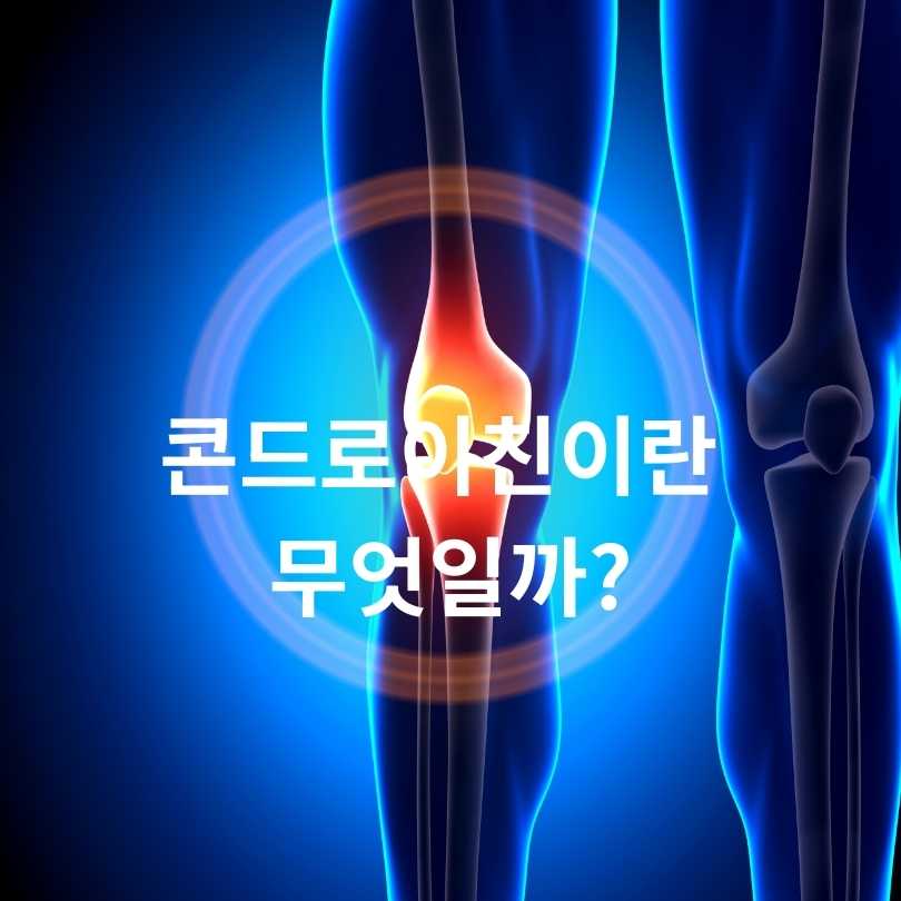 콘드로이친 소연골과 상어연골 차이