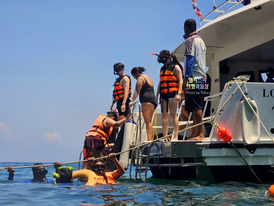 푸켓 스노클링, 피피섬 마야섬 몽키 비치 카이섬 투어 리뷰 코스 가격
